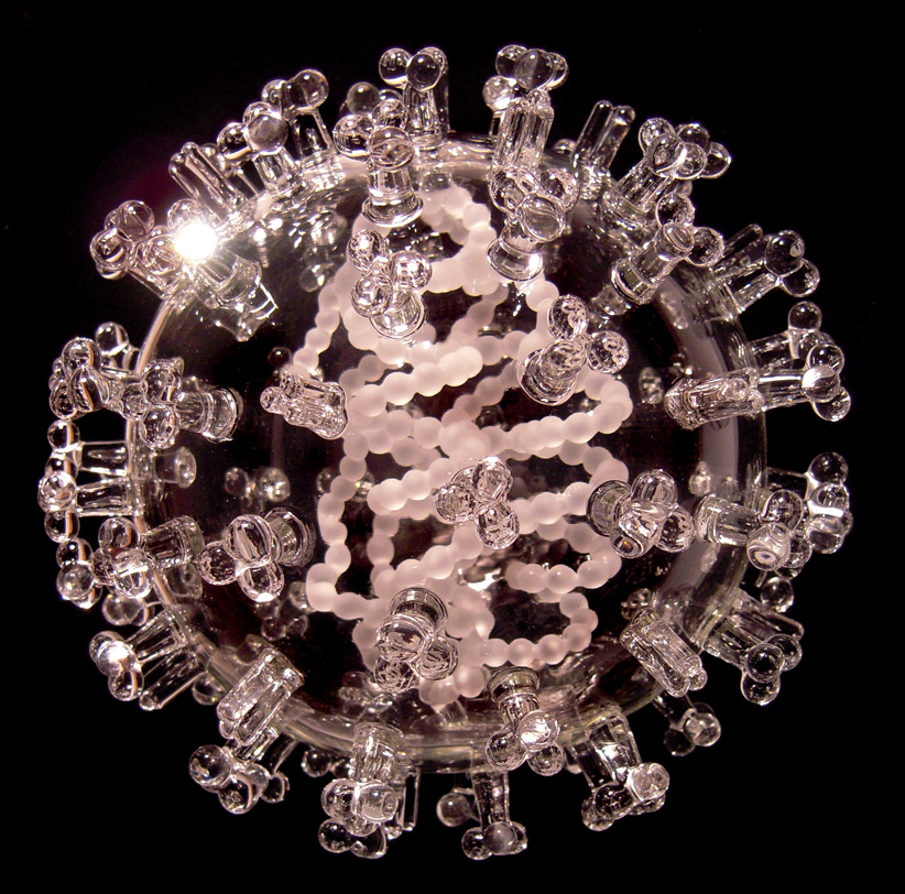 Glass Microbiology H1N1 Swine Flu (2011)