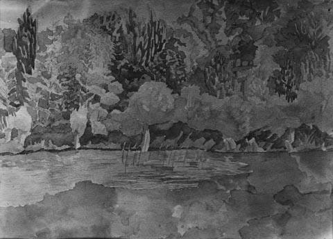 Landscape with trees seen across water (before 1953)