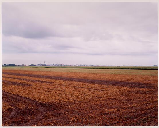 Untitled (Polder 6) (from The Atelier HSL commission series) (2003)