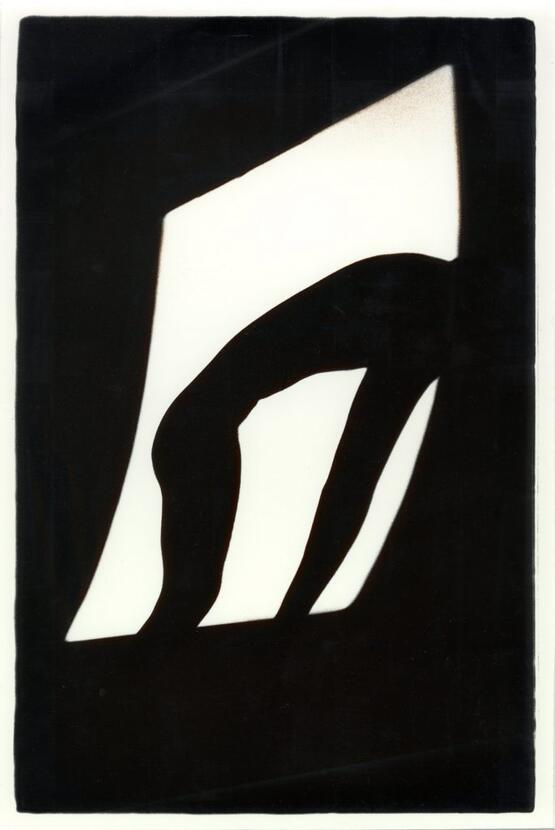 Homage to Matisse (1980)