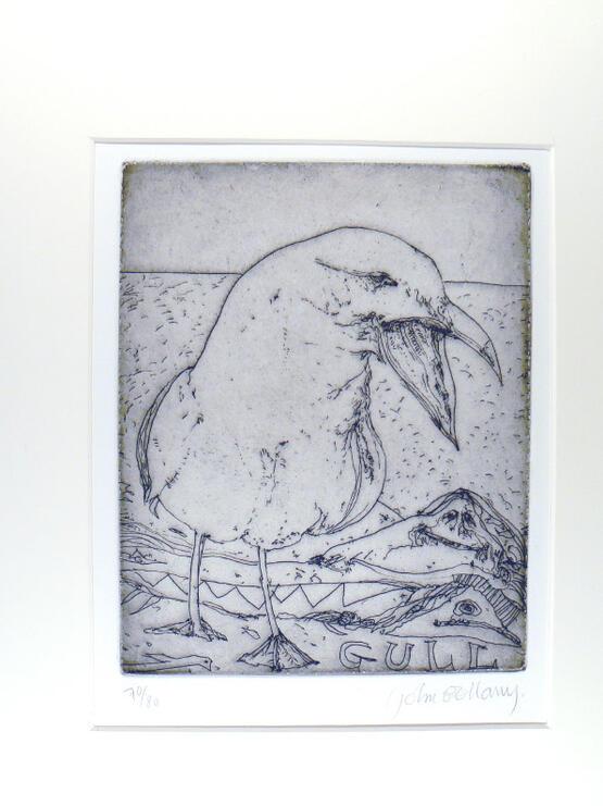 Gull (from Nine London Birds - Byam Shaw School of Art Portfolio) (1994)
