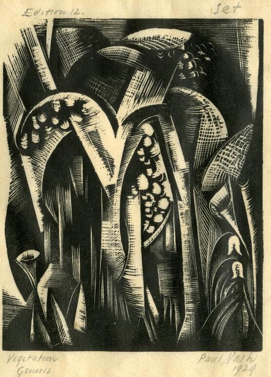 Vegetation (Genesis Series) (1924)
