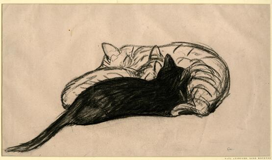 Cat and kittens (1925)